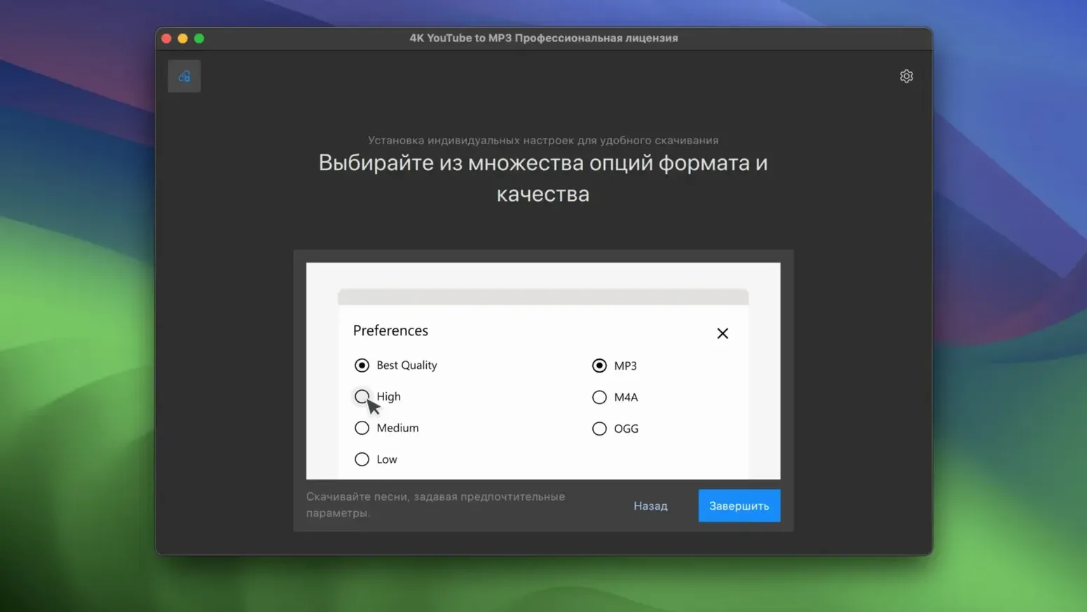 4K YouTube to MP3 preview 2
