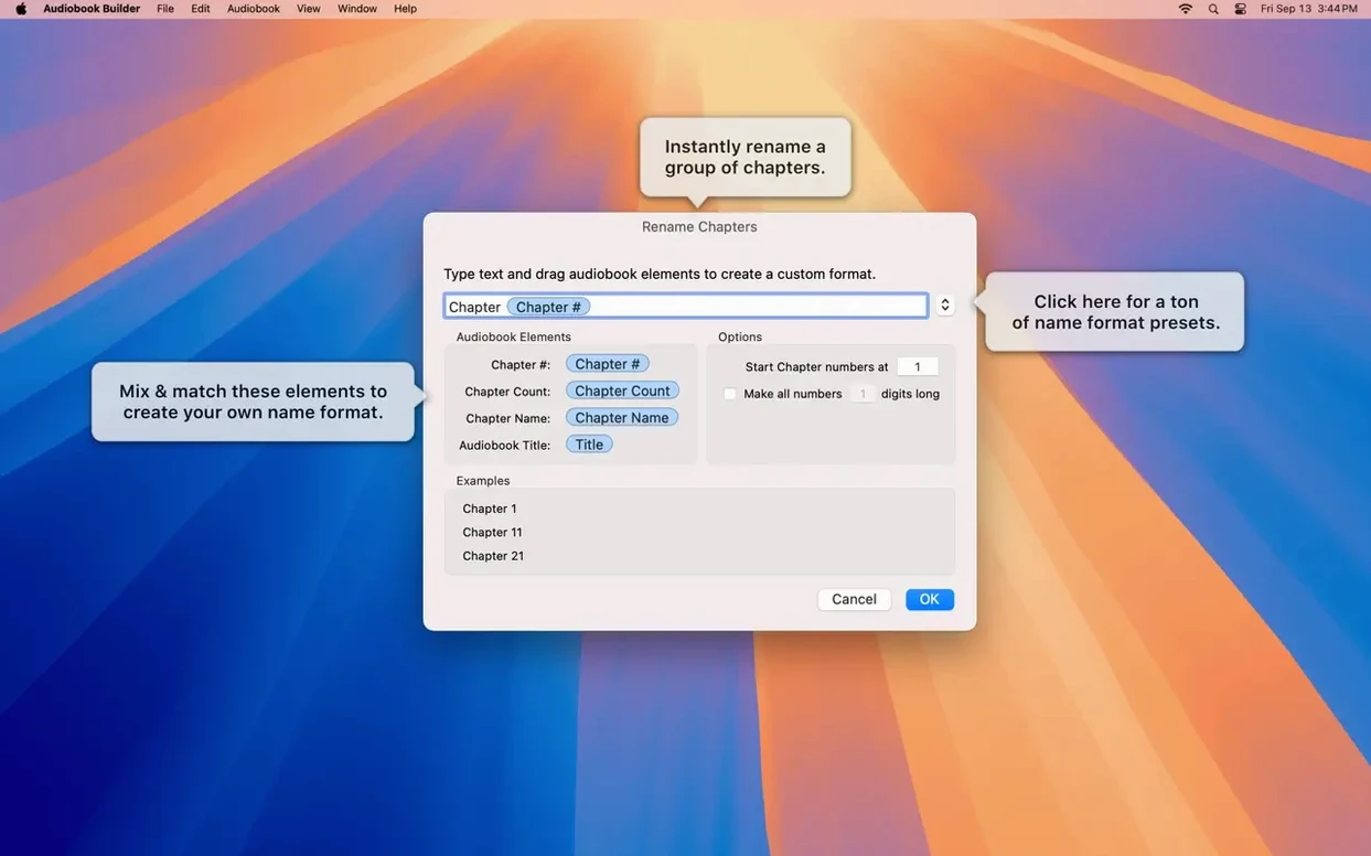 Audiobook Builder capture 5 of 6 Audiobook Builder preview 5