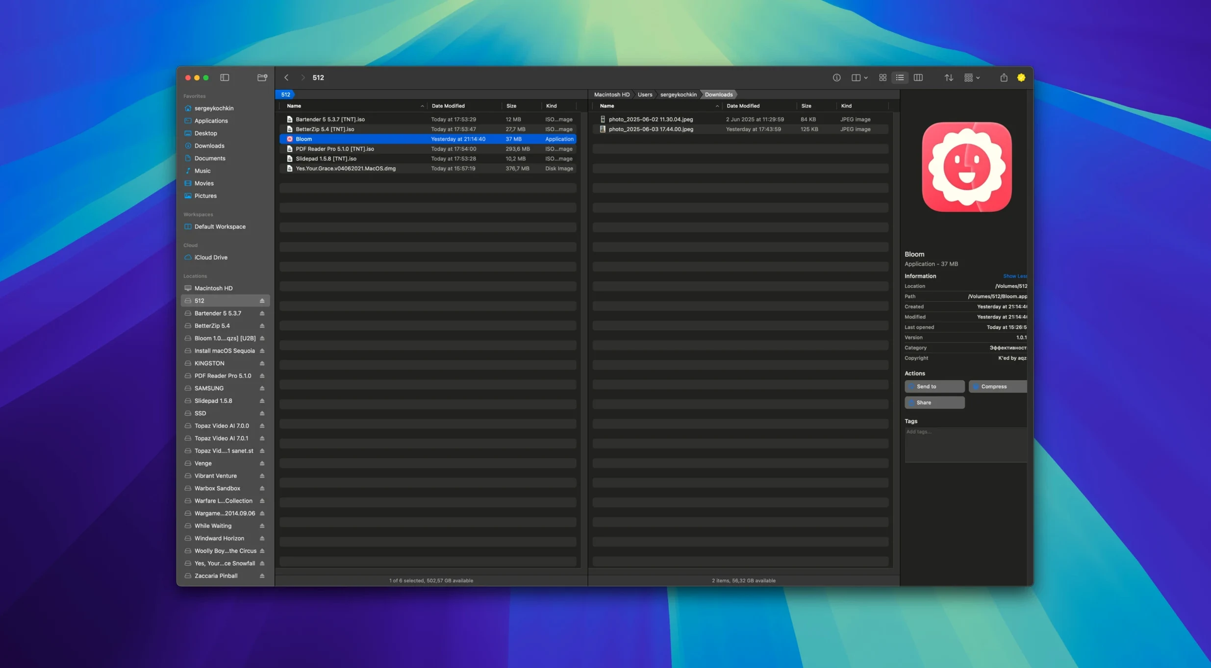 bloom torrent — opening view