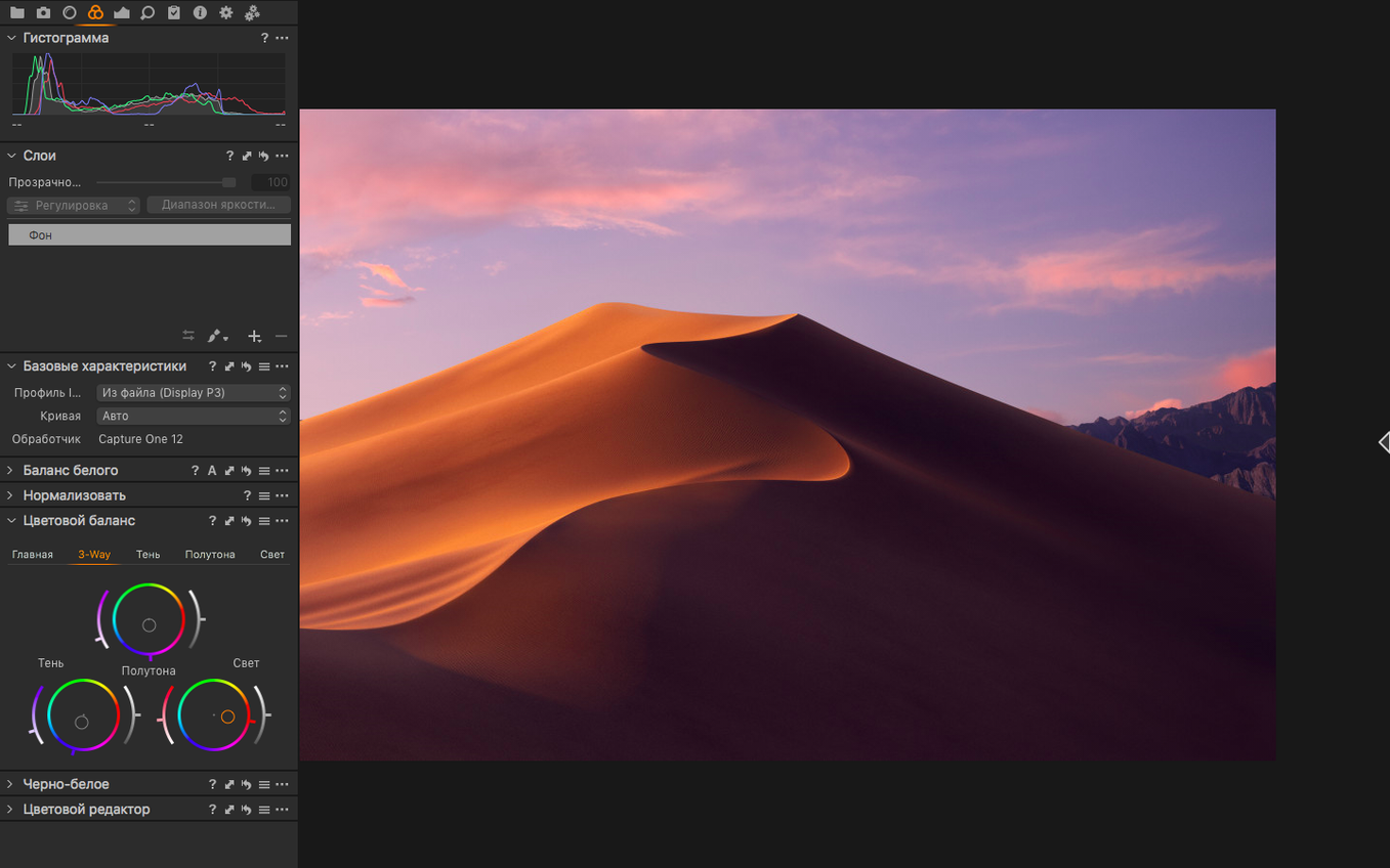 Capture One capture 2 of 4 Capture One preview 2