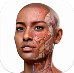 Complete Anatomy icon