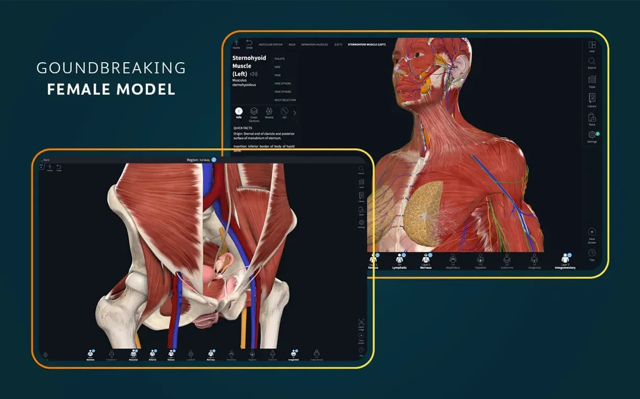 anatomy torrent — screenshot