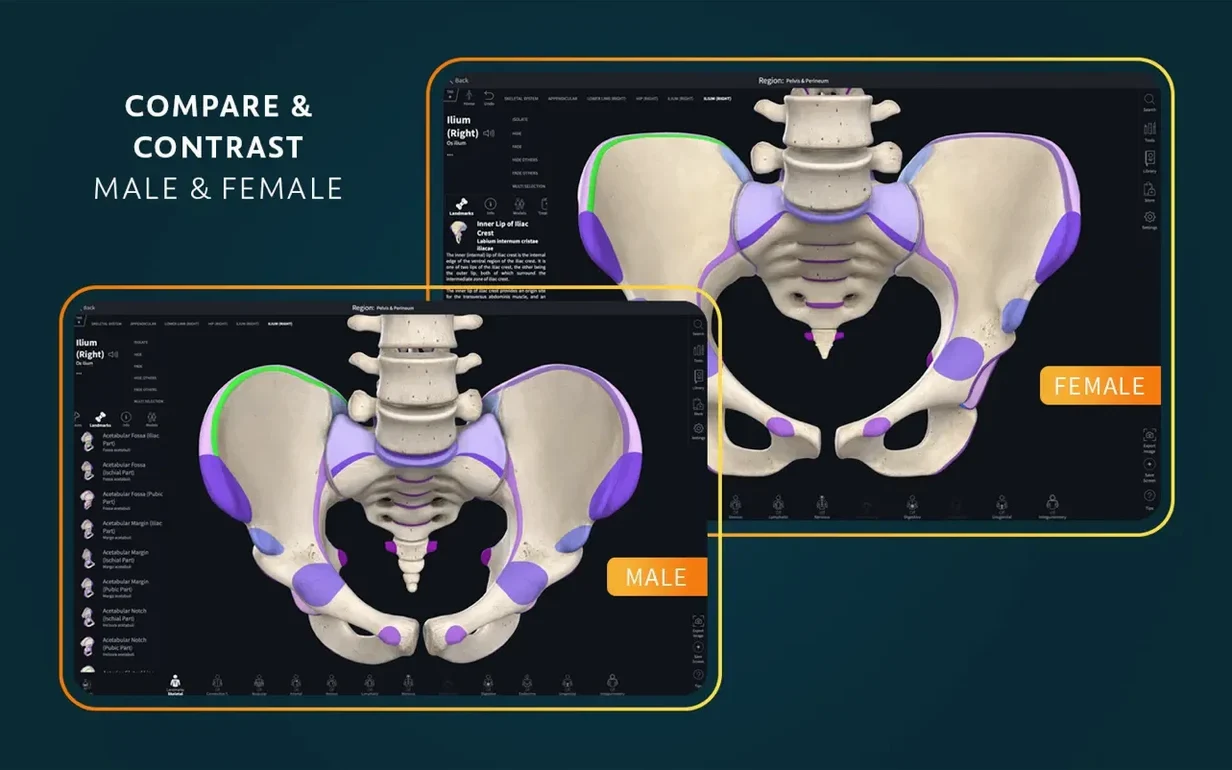 Complete Anatomy screenshot 4