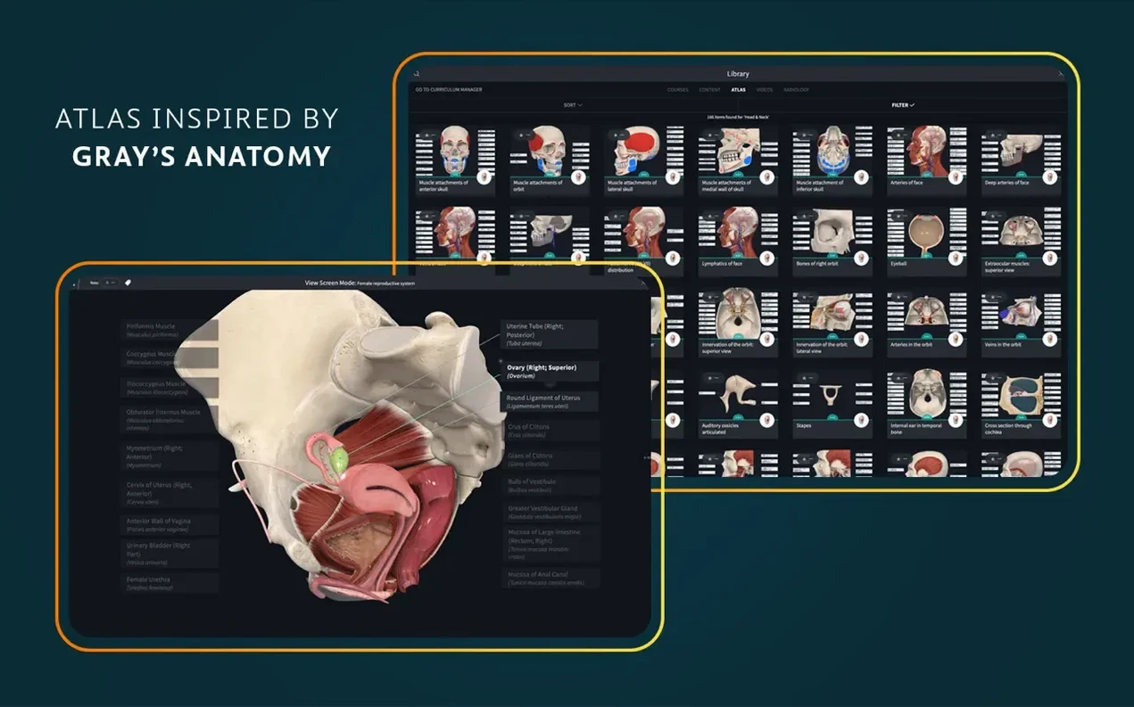 Complete Anatomy preview 5
