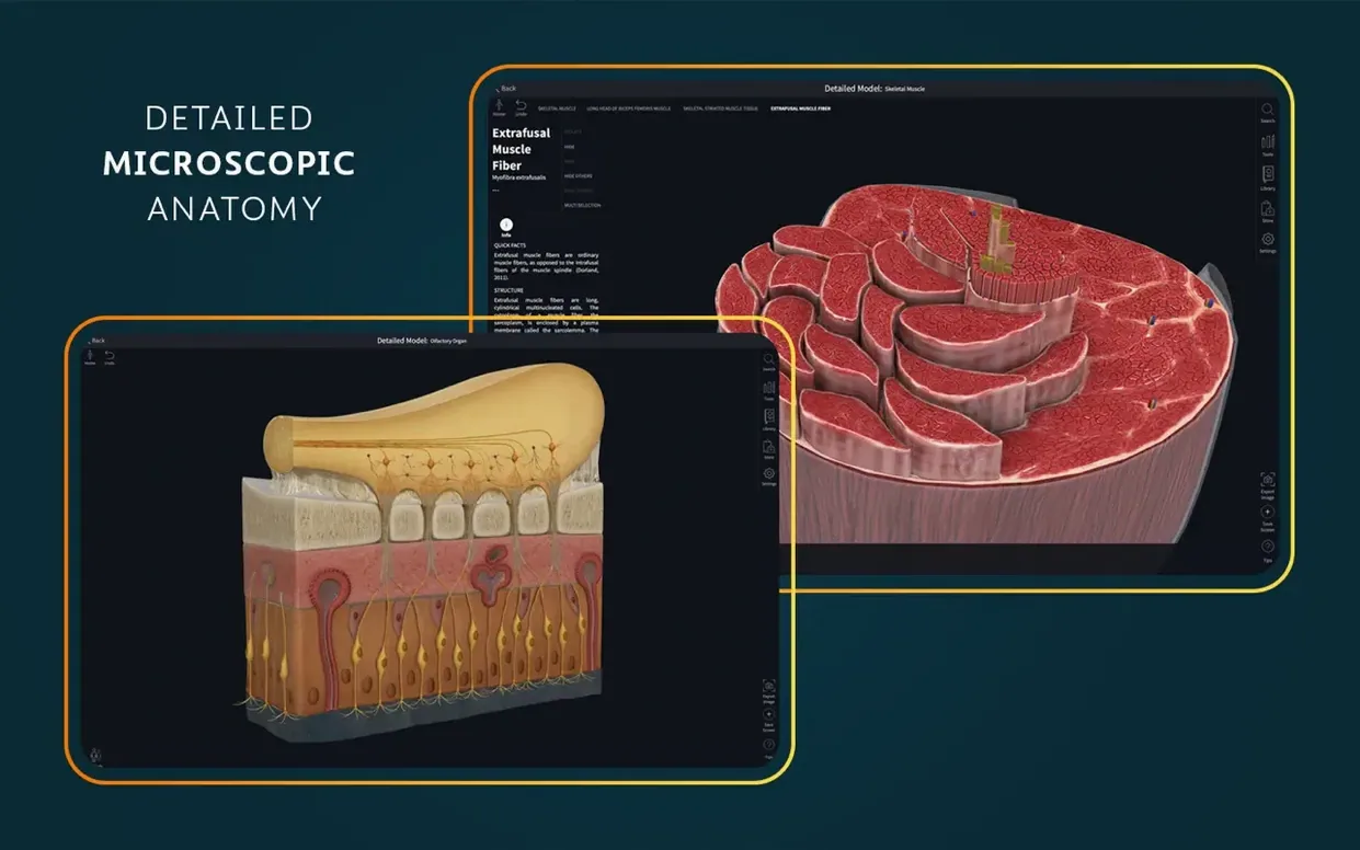 Complete Anatomy preview 6