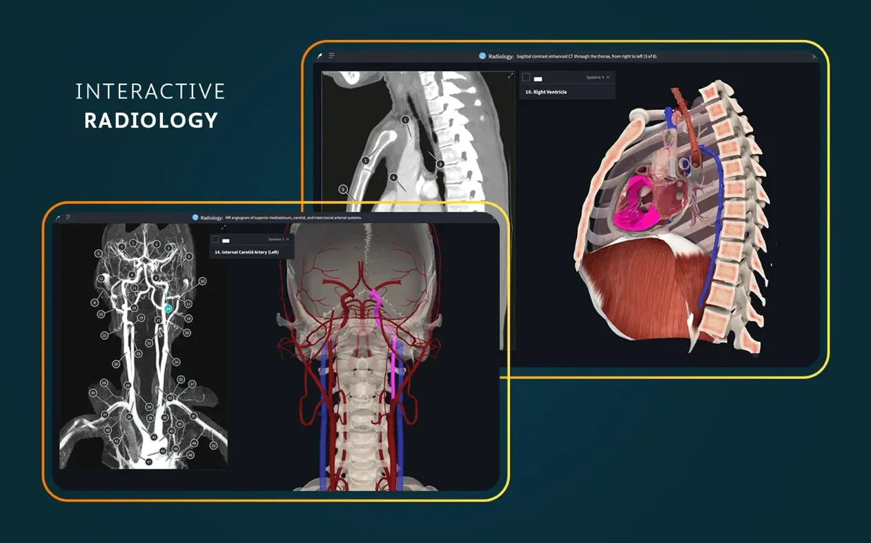 Complete Anatomy preview 7
