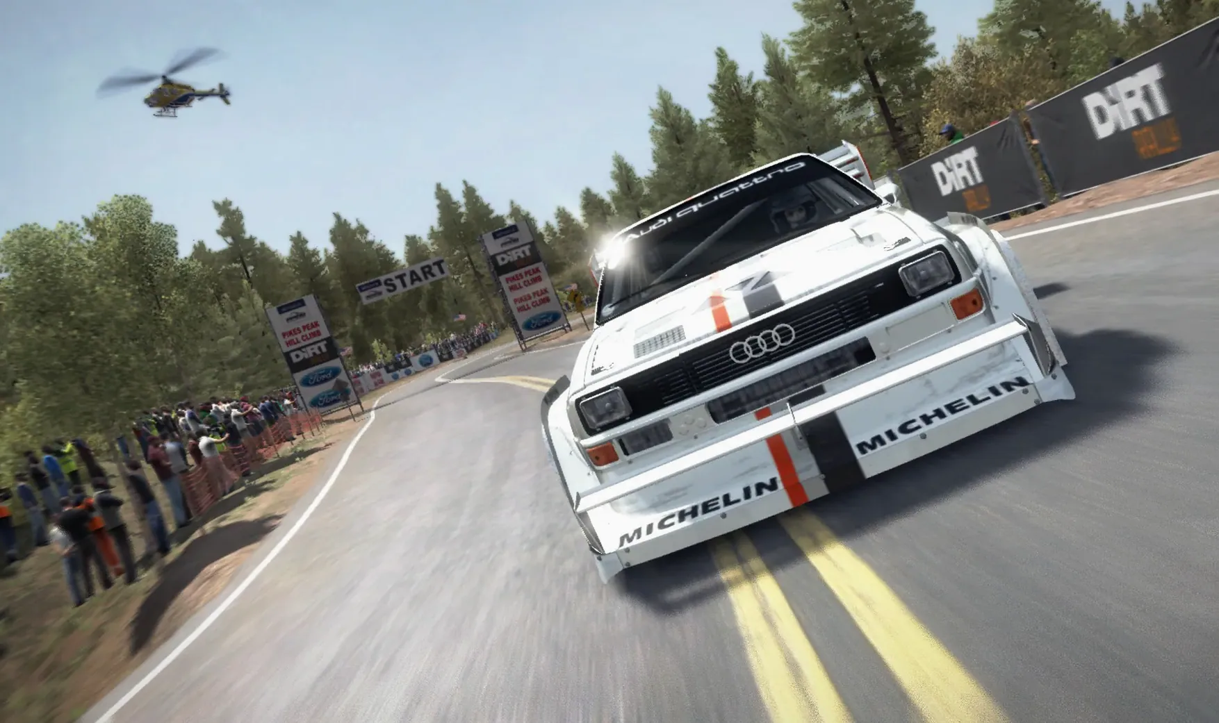 DiRT Rally screenshot 3
