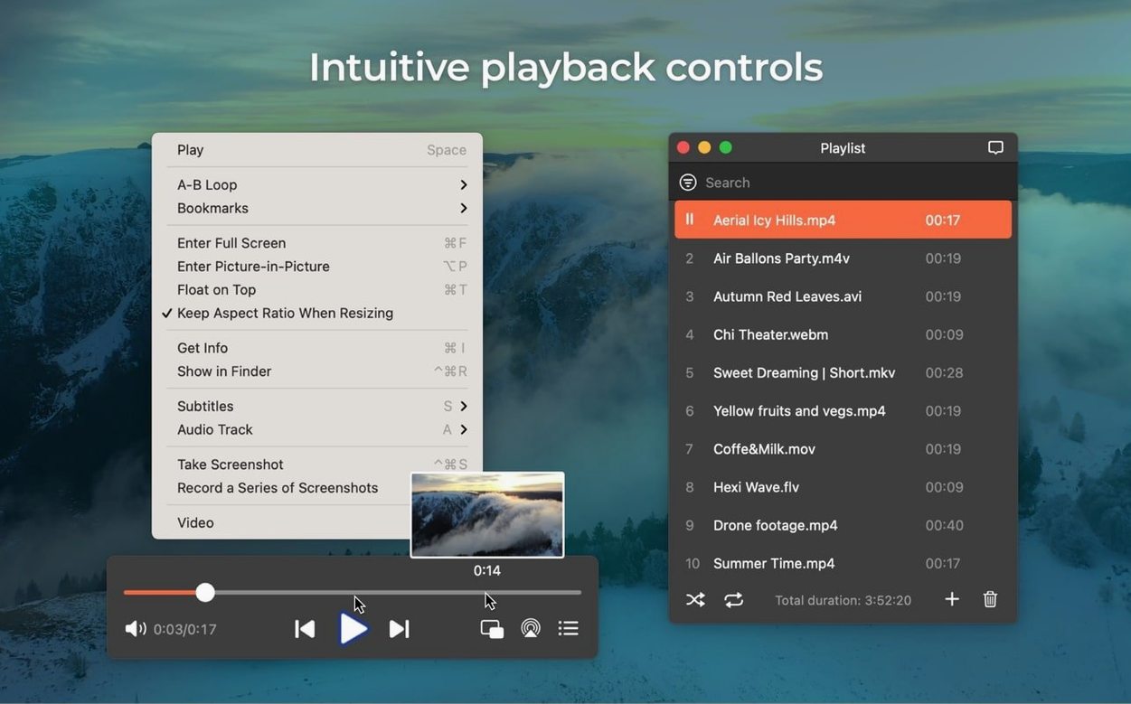 Elmedia Player Pro preview 2