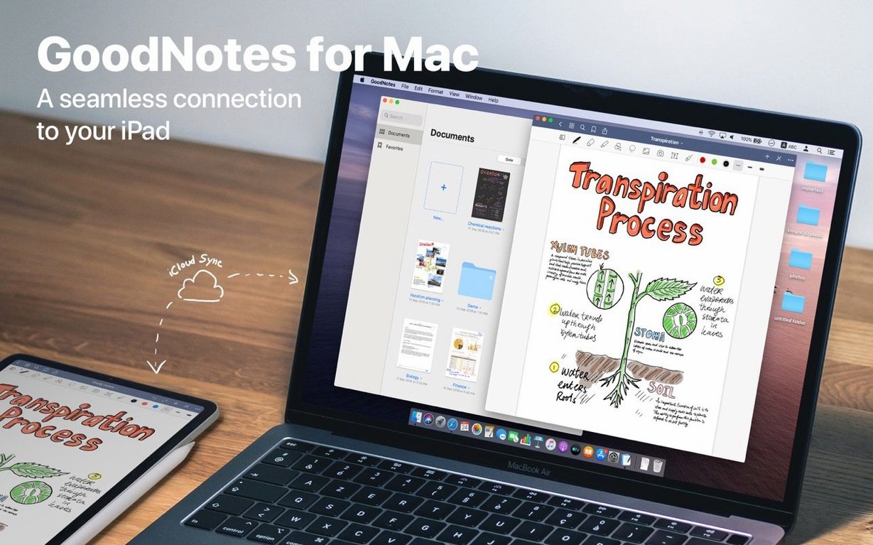 goodnotes dmg — opening view
