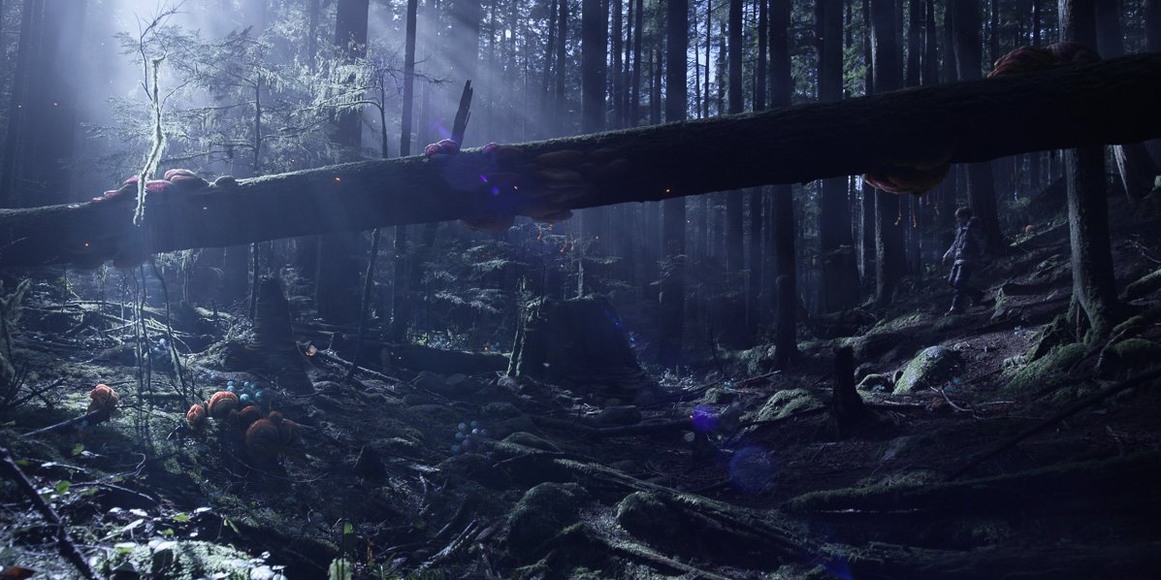 maya mac torrent — screenshot
