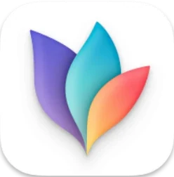 MindNode brand icon