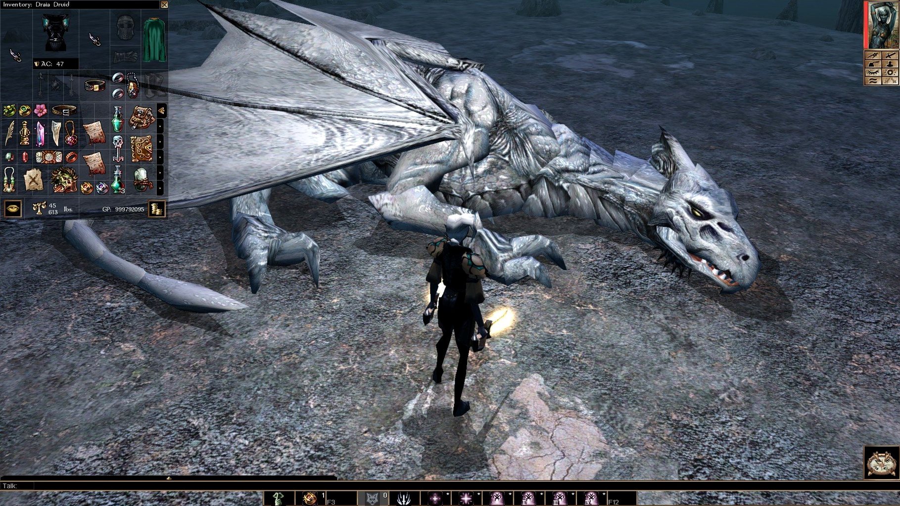 neverwinter nights enhanced edition macos free — screenshot