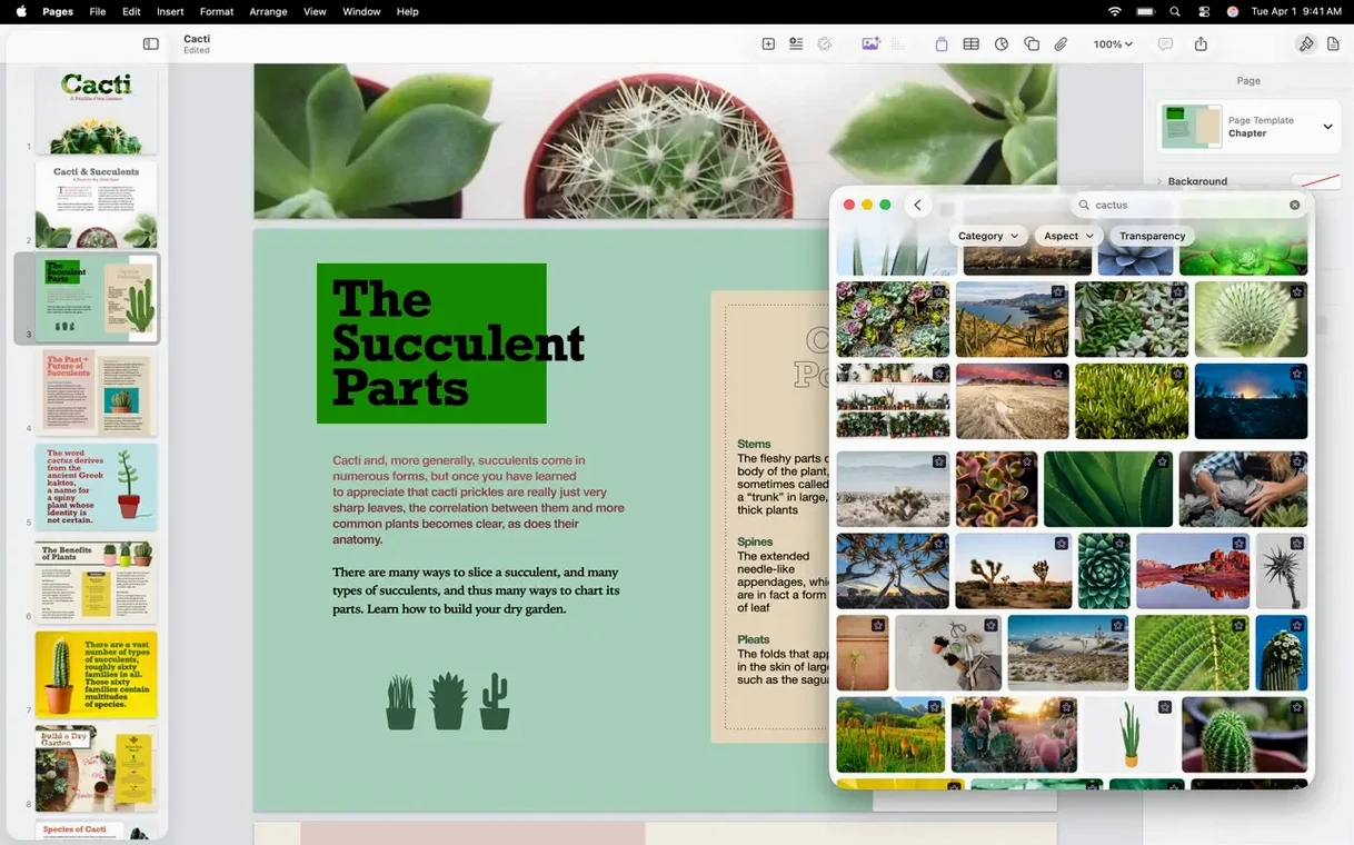 Pages Creator Studio: screenshot 4 of 8 Pages Creator Studio screenshot 4