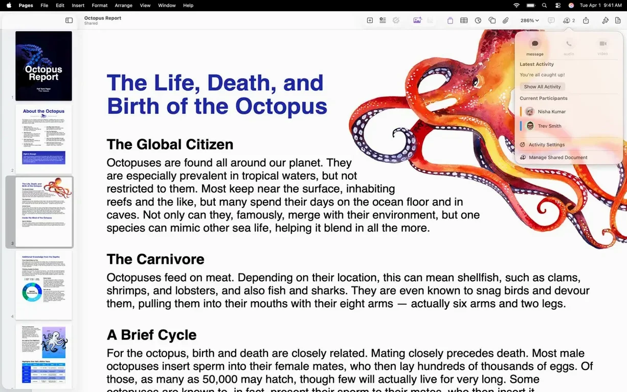 Pages Creator Studio capture 6 of 8 Pages Creator Studio preview 6
