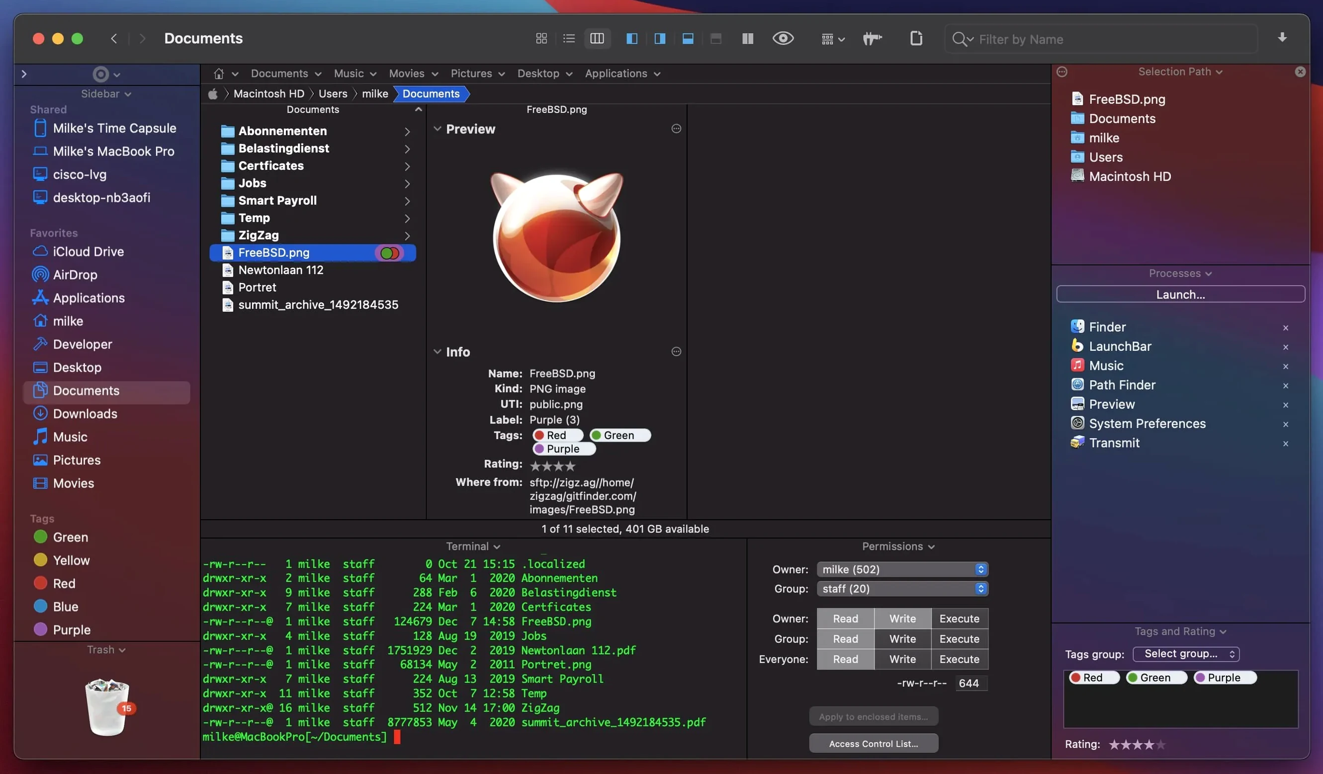 path finder torrent — opening view