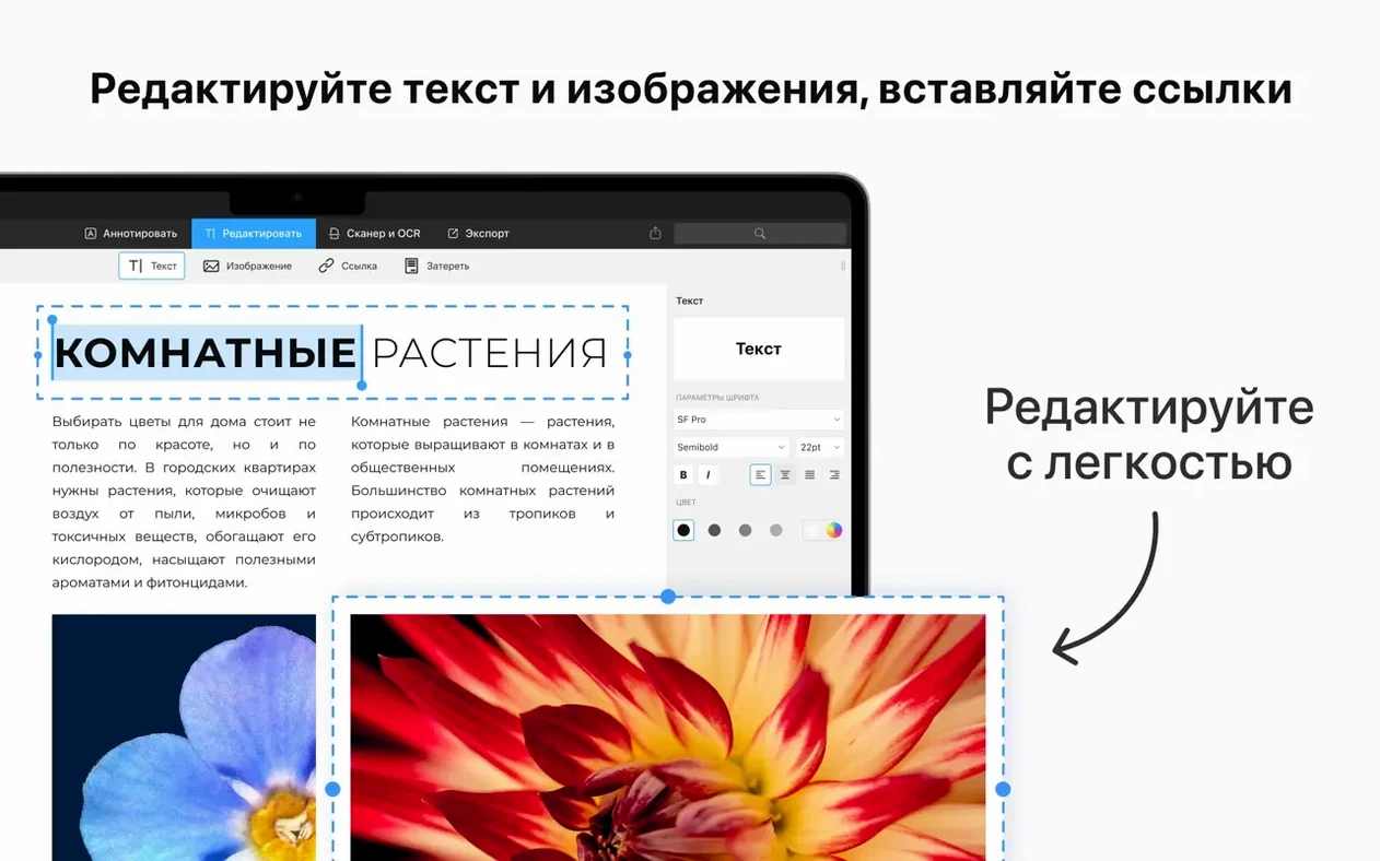 PDF Expert preview 3