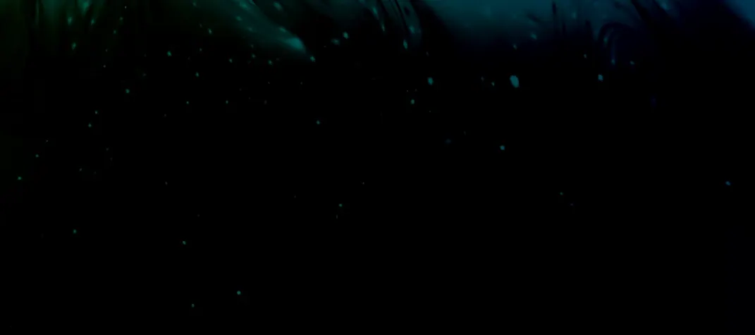 Slate Digital Submerge icon