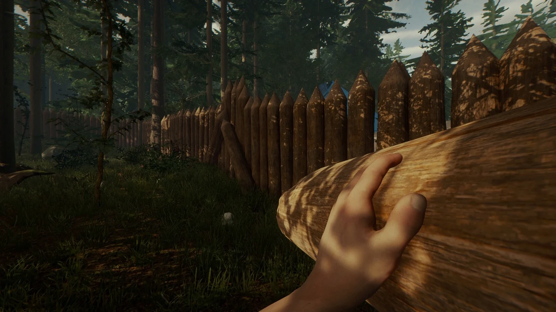 The Forest preview 3