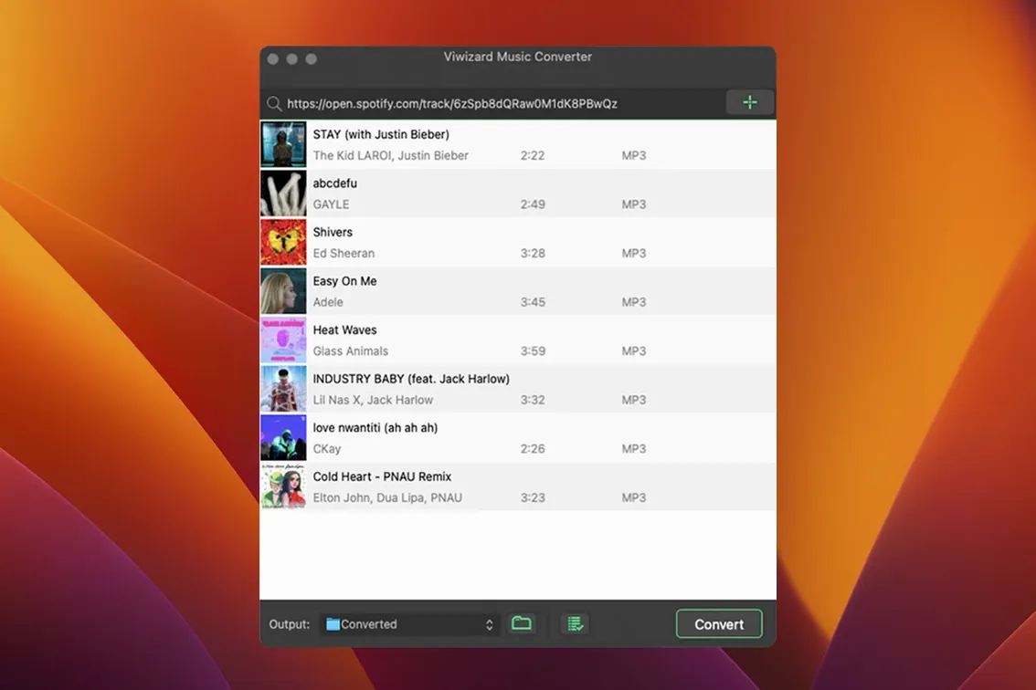 viwizard spotify music converter mac torrent — opening view
