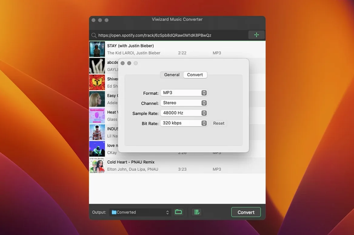 ViWizard Spotify Music Converter preview 2