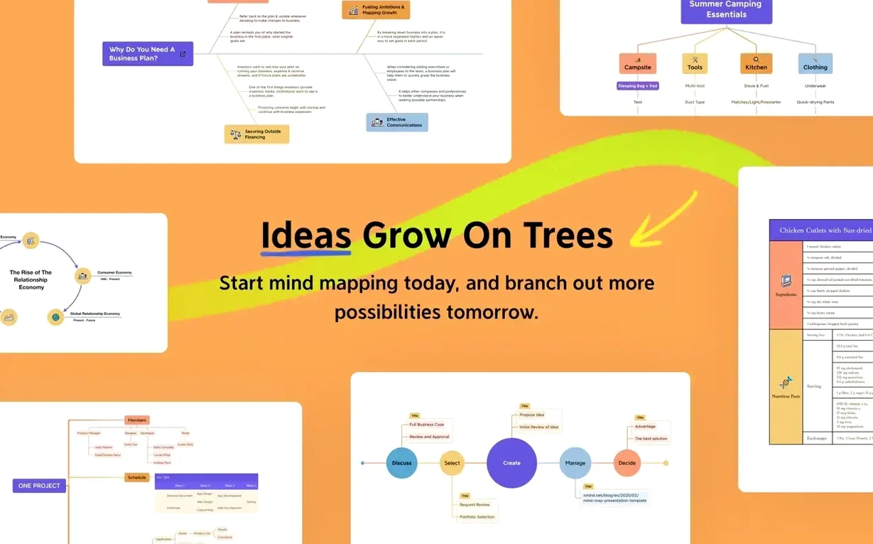 XMind Pro screenshot 7